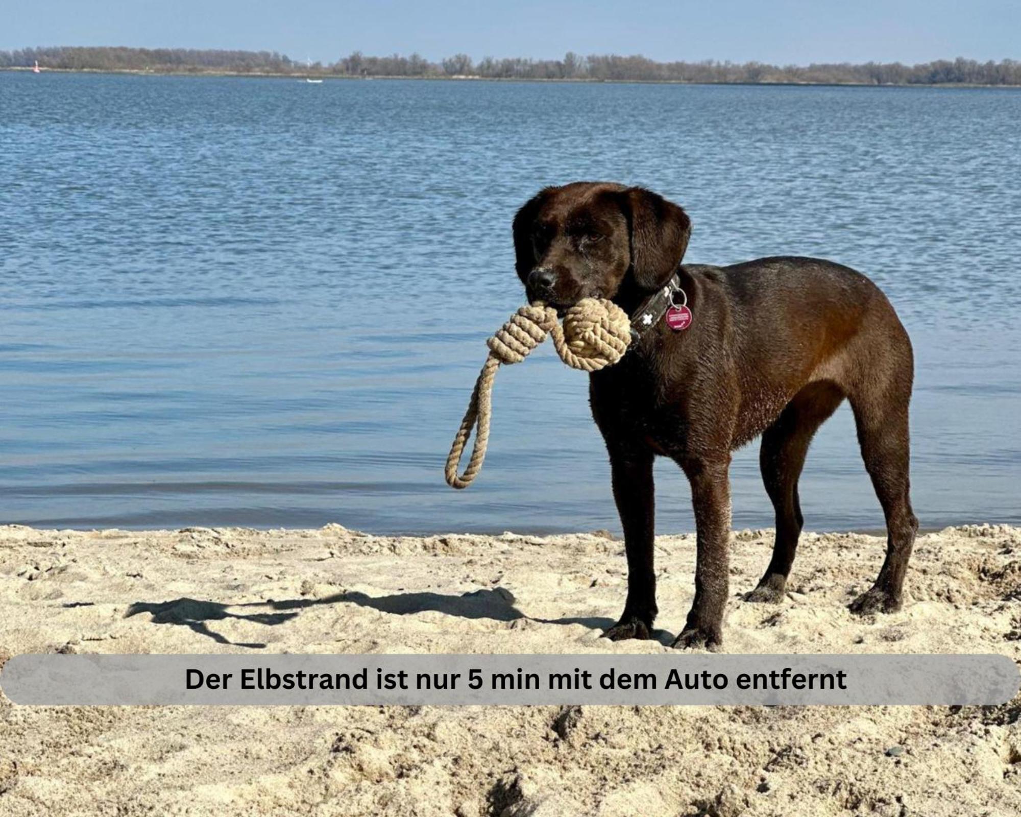 Lodge Of Africa - Einzigartige Themenzimmer, Eingezaeunten Garten, Sauna, Whirlpool & Kamin, Hunde Willkommen, Gasgrill, Voll Ausgestattete Kueche, Grosser Essbereich, Hamburg & Stade In Der Naehe Twielenfleth Экстерьер фото